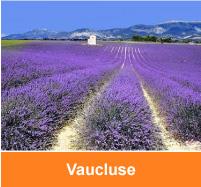 holiday cottages vaucluse luberon